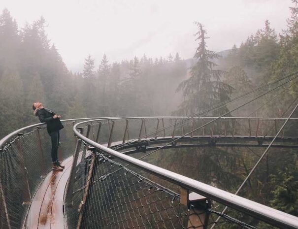 embark-bridge-import-3